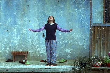 FRIEDENFLECHTEN: SNOW