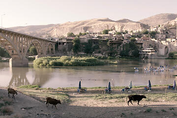 THE TOWN THAT DROVE AWAY