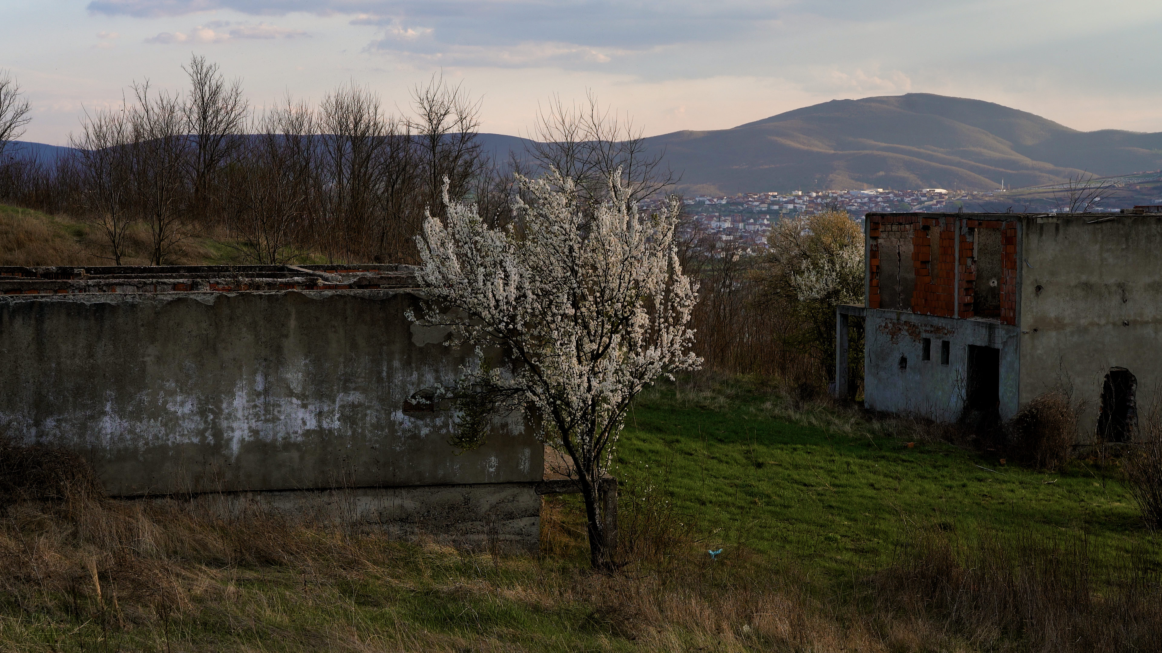 THE DIVIDED CITY OF MITROVICA (c) FFC