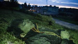 IN TOUCH – Online film screening and discussion