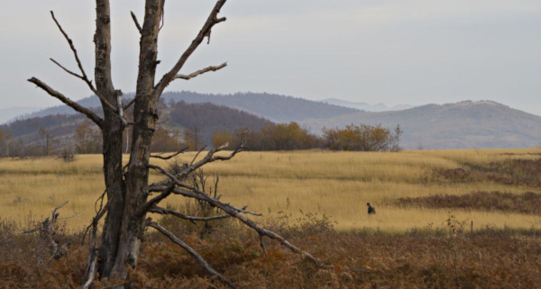 Event: Program director at &quot;Kino für Moabit&quot;
