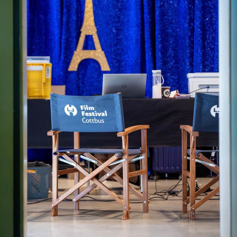 Job Opening: Programme Coordinator (m/f/d)