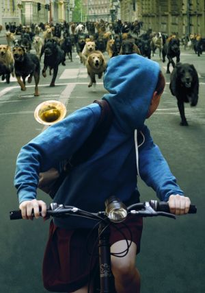 Festivalhighlight im TV