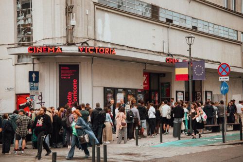 FFC at the Transilvania International Film Festival 2026