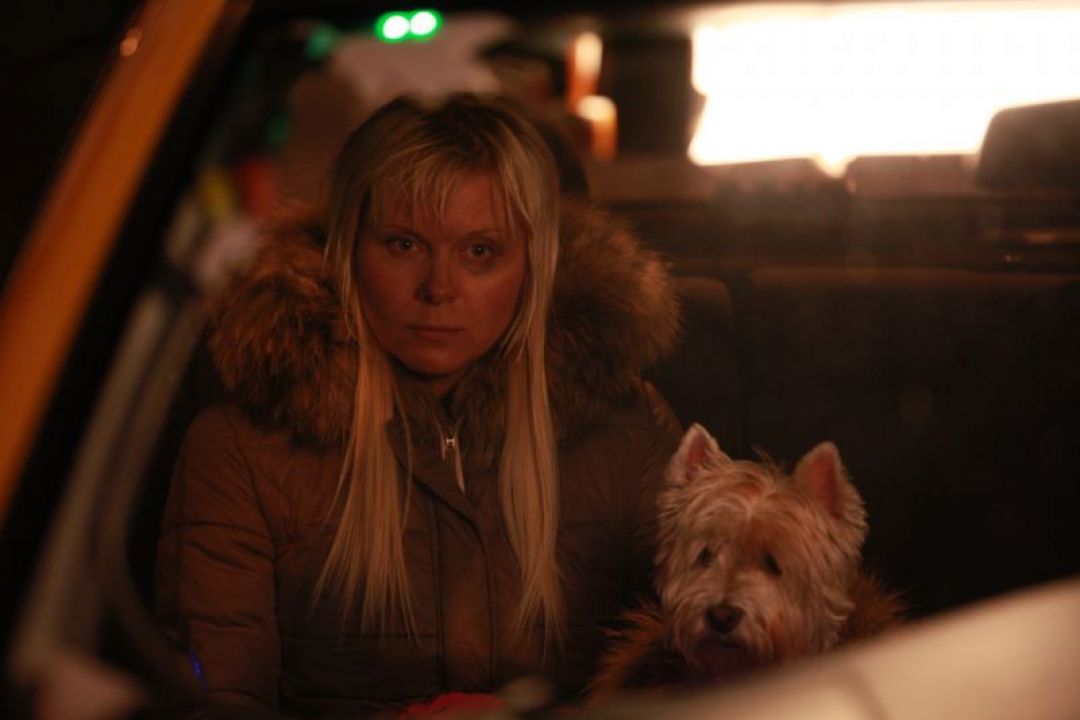 Cottbus bei Kino Pavasaris