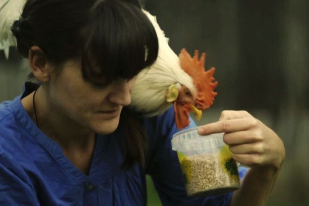 MĚR, Preisträger der Stiftung für das sorbische Volk beim 13. FilmFestival Cottbus