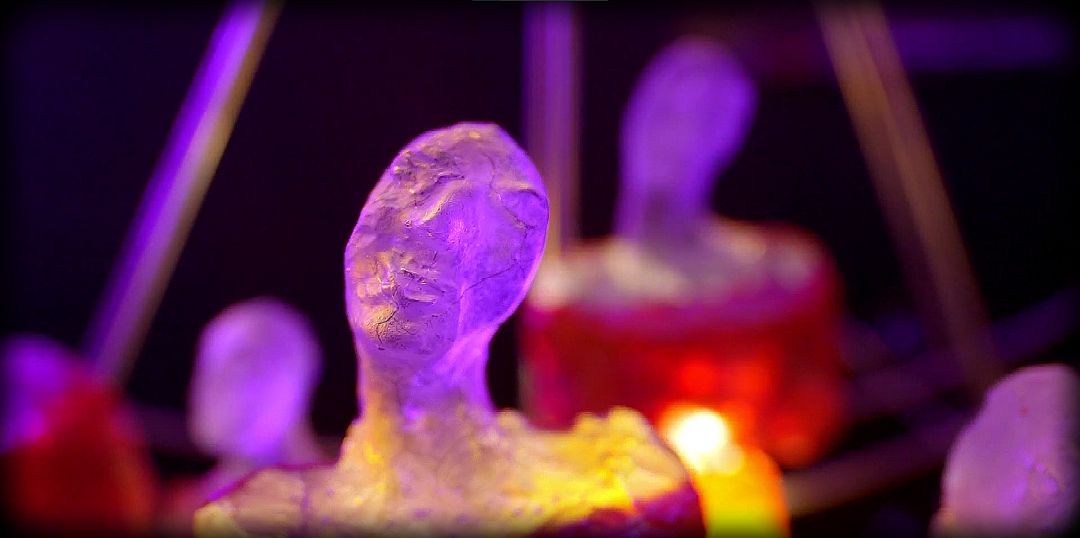 #LubinaLove in a cube: Ivan I. Tverdovskiy wins the main prize at the FilmFestival Cottbus for the third time