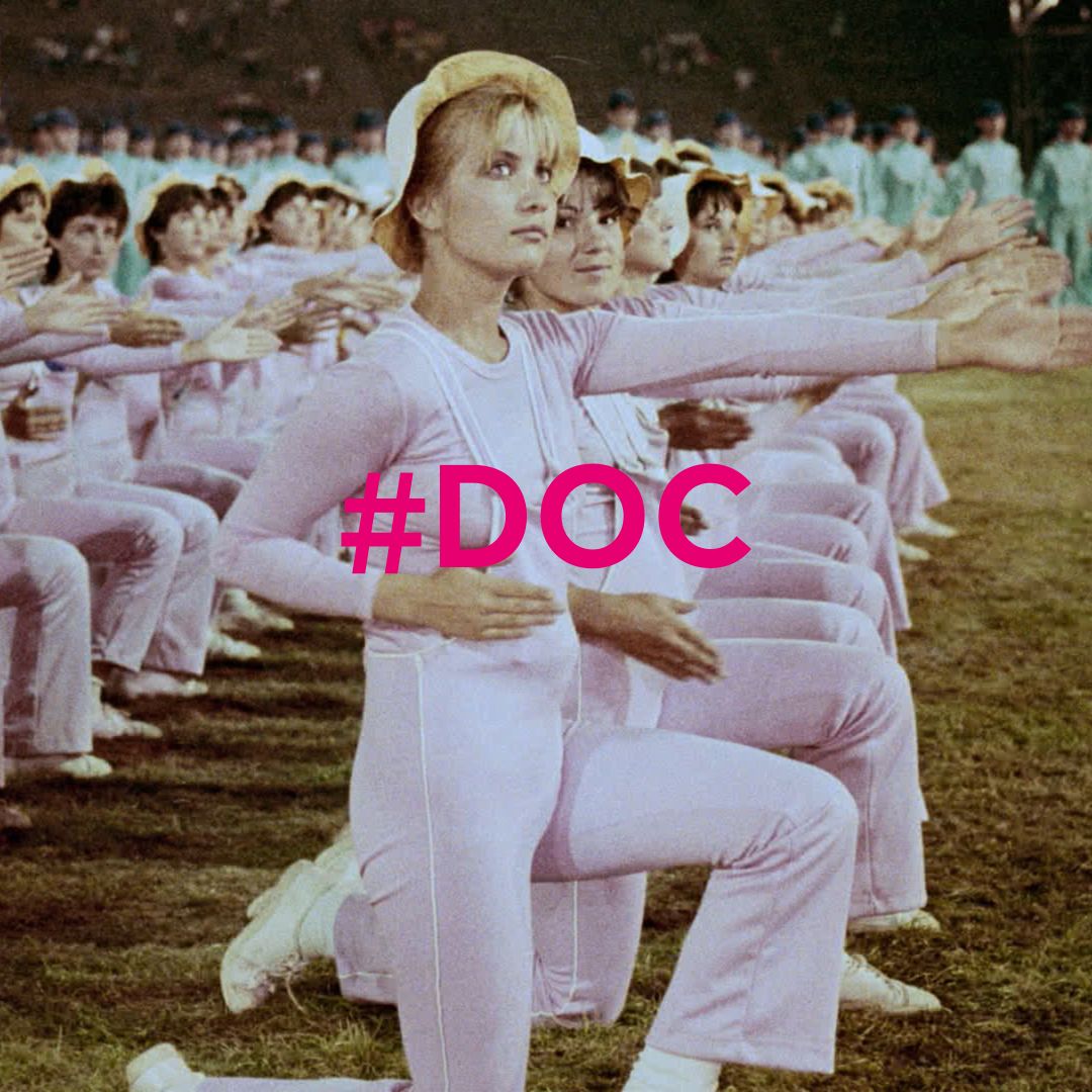 Documentaries at the 33rd FFC