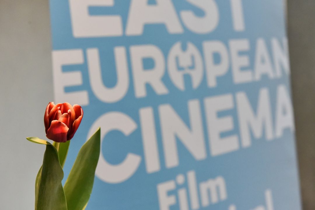 Empfehlungen für’s #stayhome-Kino